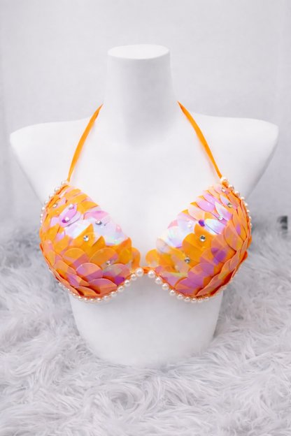 Siren Shell Set
