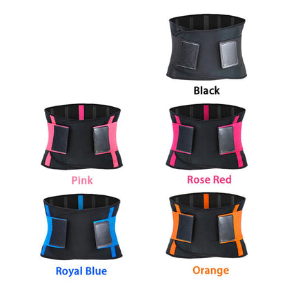 CoreHalo Support Belt image 4